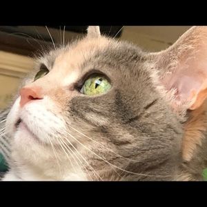 Meet your Posher, Patricia